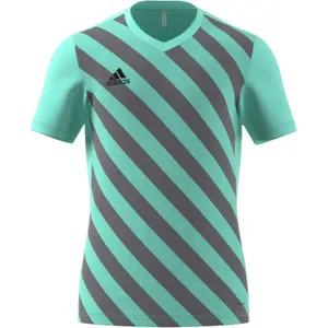 Jersey adidas Entrada 22 Graphic image-1