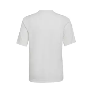 Camiseta para niños adidas Entrada 22 Graphic image-3