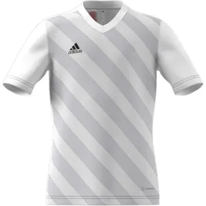 Camiseta para niños adidas Entrada 22 Graphic image-1