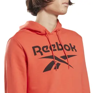 Sweatshirt Reebok Identity Big Logo image-4