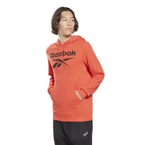 Sweatshirt Reebok Identity Big Logo image-1