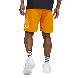 Corto adidas Big Logo image-5