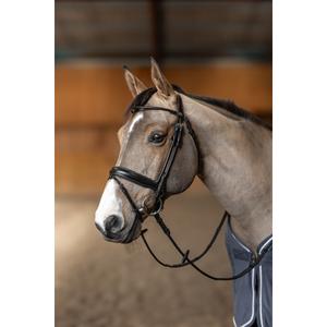 hfi017bkc-bridon-equitation-anatomique-hfi-round-noir