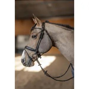 Bridon équitation anatomique HFI Round image-1