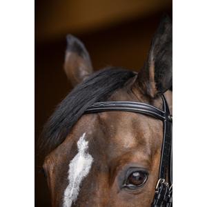 hfi018bkc-bridon-equitation-anatomique-hfi-double-jump-noir
