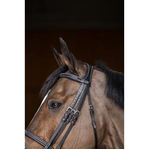 Anatomical riding bridle HFI Double Jump image-1