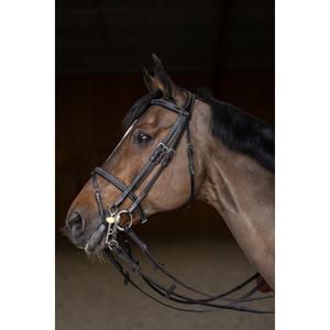 Anatomical riding bridle HFI Double Jump image-2