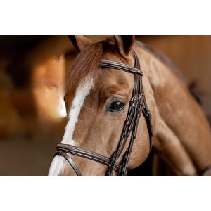 Anatomical riding bridle HFI Double Jump image-4