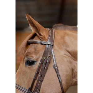 hfi018brc-bridon-equitation-anatomique-hfi-double-jump-brun