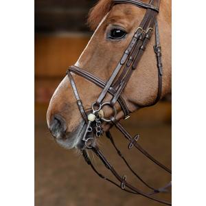 Anatomical riding bridle HFI Double Jump image-2