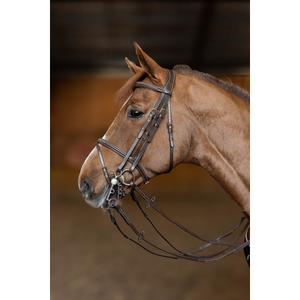Anatomical riding bridle HFI Double Jump image-5