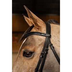 hfi019bkc-bridon-equitation-anatomique-hfi-edges-noir