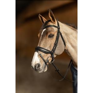 Anatomiczna uzda jeździecka HFI Edges image-4