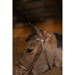 hfi019brc-bridon-equitation-anatomique-hfi-edges-brun