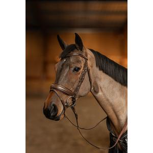 Anatomiczna uzda jeździecka HFI Edges image-4