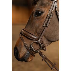 Anatomiczna uzda jeździecka HFI Edges image-2