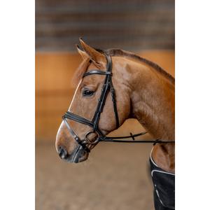 Anatomical riding bridle HFI Padded image-3