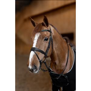 Anatomical riding bridle HFI Padded image-2