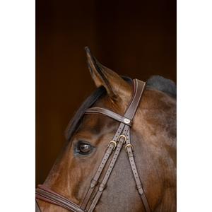Anatomical riding bridle HFI Padded image-6