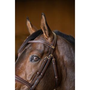 Anatomical riding bridle HFI Padded image-4