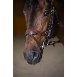 Anatomical riding bridle HFI Padded image-5
