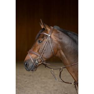 hfi020brc-bridon-equitation-anatomique-hfi-padded-brun