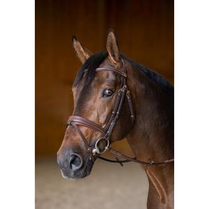 Anatomical riding bridle HFI Padded image-2