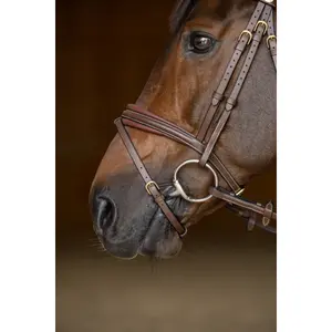 Anatomiczna uzda jeździecka HFI Padded image-5