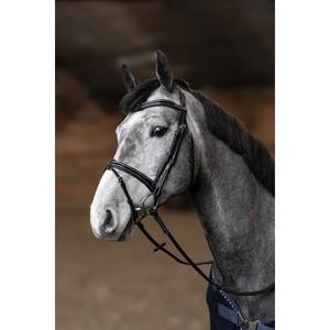 hfi021bkc-trense-hfi-painted-schwarz