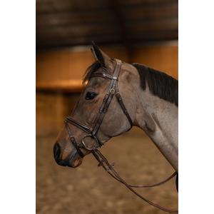 hfi021brc-bridon-equitation-anatomique-hfi-painted-brun