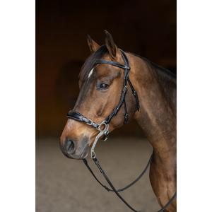 hfi024bkc-trense-hfi-hackamore-schwarz