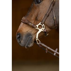 Horse muzzle and chain HFI Hackamore image-1