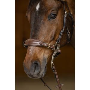 Horse muzzle and chain HFI Hackamore image-2