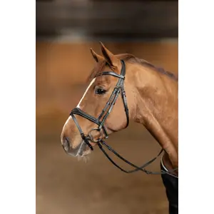 Combination horse noseband HFI Wavy image-2