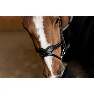 Combination horse noseband HFI Wavy image-3