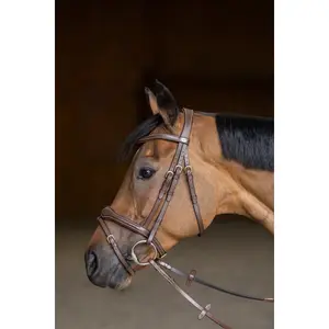 Combination horse noseband HFI Wavy image-2