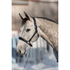 Halsters van leer en nylon voor paarden HFI Mixed image-2