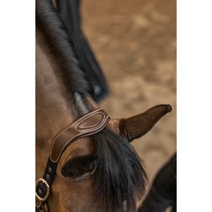 Halsters van leer en nylon voor paarden HFI Mixed image-2