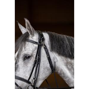 Gogue for horse HFI image-5