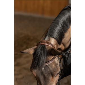 hfipl100brc-bridon-equitation-muserolle-combinee-hfi-pro-line-milano-brun-or