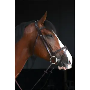 Combined riding bridle and noseband HFI Monza