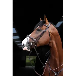 Combined riding bridle and noseband HFI Monza image-1