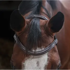 Combined riding bridle and noseband HFI Monza image-2