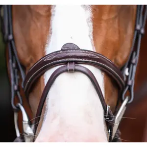 Combined riding bridle and noseband HFI Monza image-3