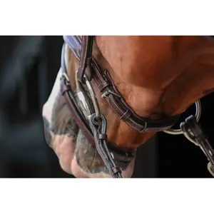Combined riding bridle and noseband HFI Monza image-4