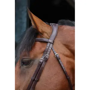 Combined riding bridle and noseband HFI Monza image-5