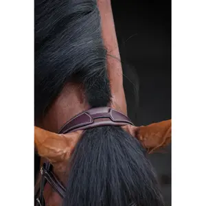 Combined riding bridle and noseband HFI Monza image-6