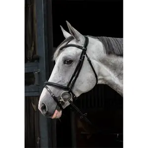 Combined riding bridle and noseband HFI Merano