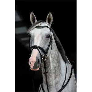 Combined riding bridle and noseband HFI Merano image-1
