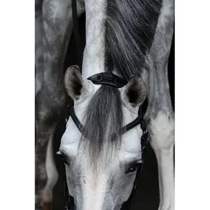 Combined riding bridle and noseband HFI Merano image-2